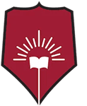DY Patil University logo